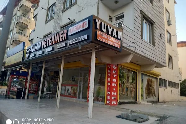 Yuvam Veteriner Kliniği - Resim 3