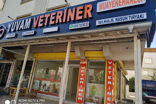 Yuvam Veteriner Kliniği - Resim 4