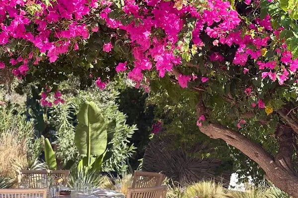 Bitz Lounge Bodrum - Resim 8