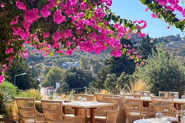 Bitz Lounge Bodrum - Resim 18