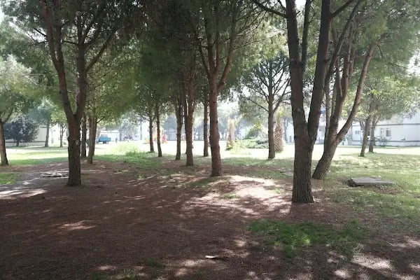 Çocuk Parkı - Resim 1
