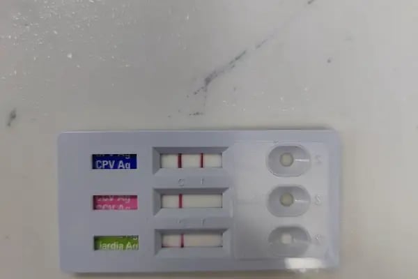 Özel Edremit Hayvan Hastanesi - Resim 14