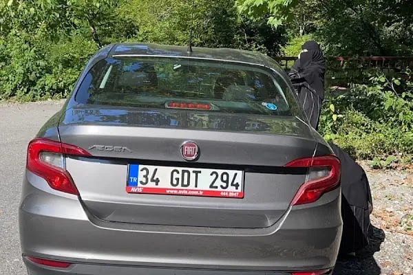 Avis Adapazarı - Resim 3