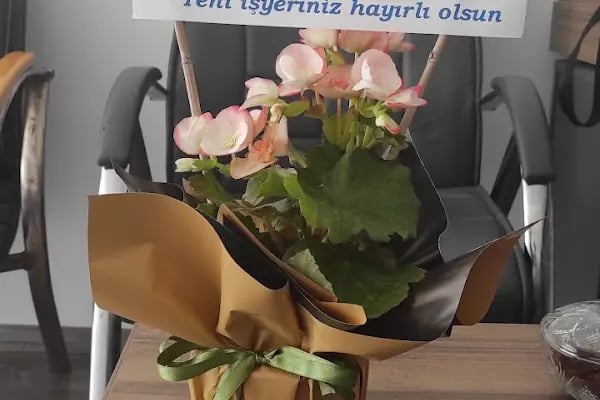 Anamur Yıldız Gayrimenkul - Resim 3