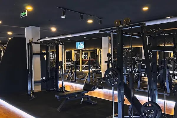 Rectus Fit - Resim 20