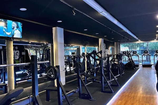Rectus Fit - Resim 15