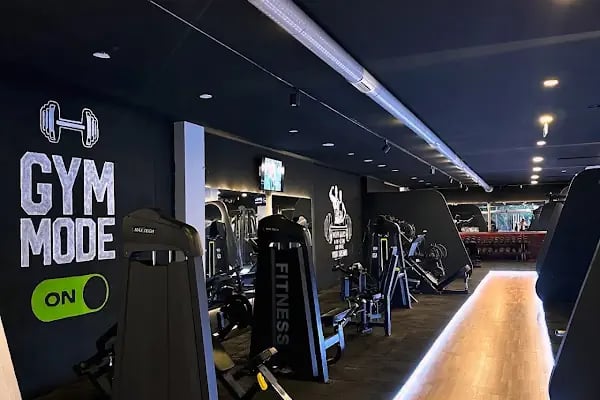 Rectus Fit - Resim 18