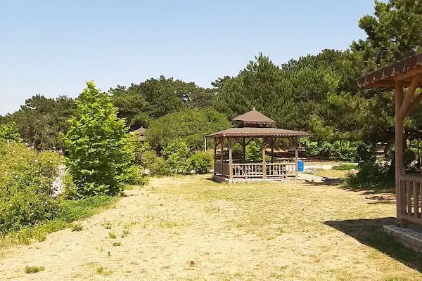 Spil Dağı Milli Parkı Orman Köşk Evleri - Resim 13