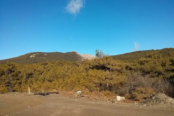 Spil Dağı Milli Parkı Orman Köşk Evleri - Resim 19