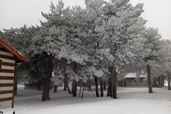 Spil Dağı Milli Parkı Orman Köşk Evleri - Resim 9