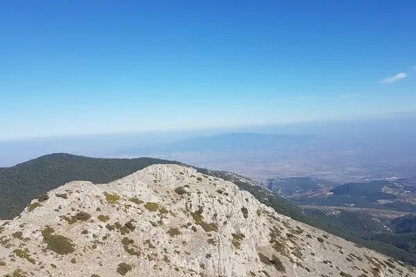 Spil Dağı Milli Parkı Orman Köşk Evleri - Resim 2