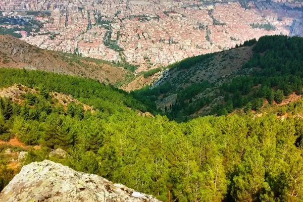 Spil Dağı Milli Parkı Orman Köşk Evleri - Resim 5