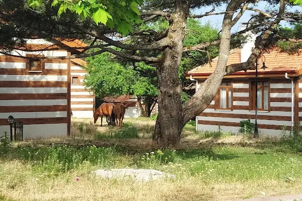 Spil Dağı Milli Parkı Orman Köşk Evleri - Resim 4