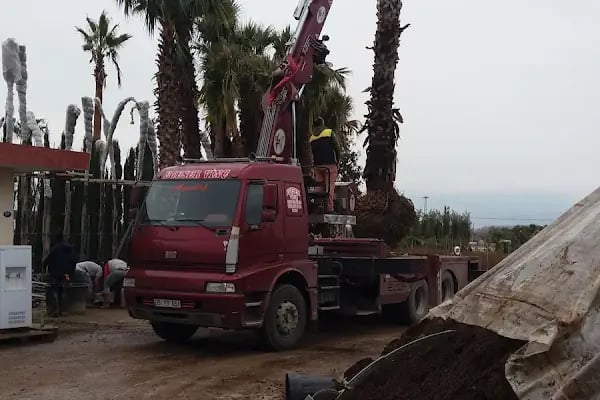 Armagan Cicekcilik - Resim 15