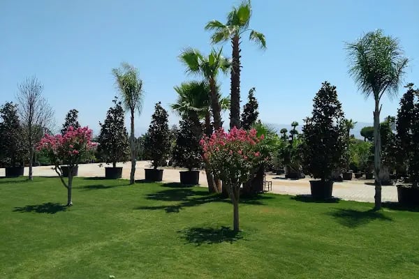Armagan Cicekcilik - Resim 4