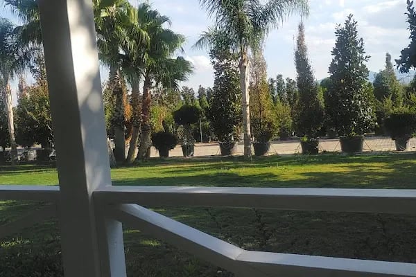 Armagan Cicekcilik - Resim 7