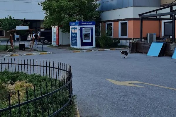 Kocaeli Üniversitesi Araştırma ve Uygulama Hastanesi Acil Servisi - Resim 15