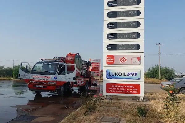 Organize Yılmaz Platform Ve Sepetli Vinç - Resim 7