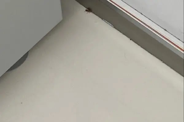 Özel Metropol Karşıyaka Tıp Merkezi - Resim 20