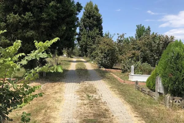 Alaağaç Köy Mezarlığı - Resim 11