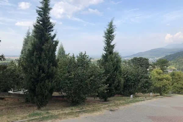 Alaağaç Köy Mezarlığı - Resim 3