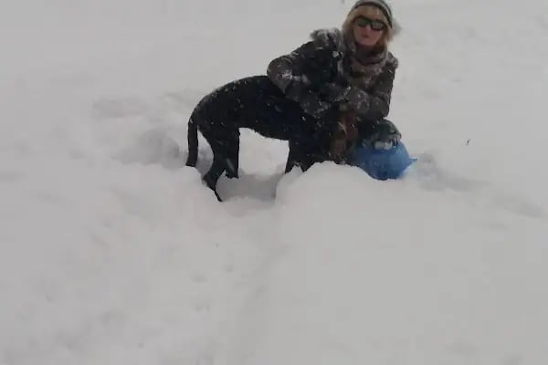 Bahcekoy Milli Parklar Sefligi - Resim 12