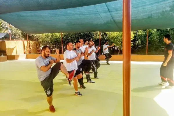 Sport Academy - Resim 6