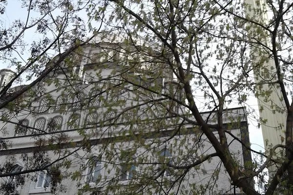 T.C. Bağcilar Müftülüğü Hoca Ahmet Yesevi Camii - Resim 5