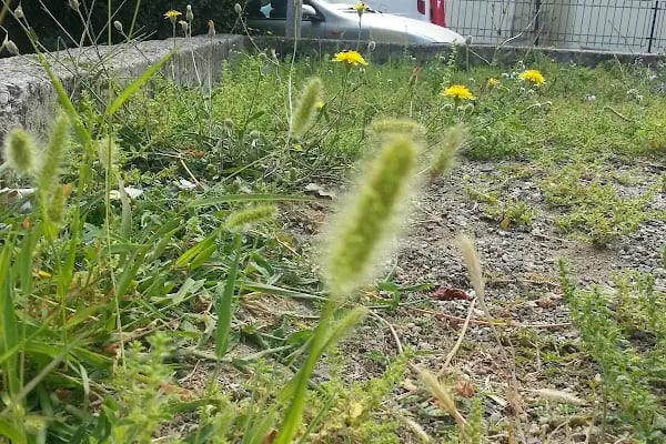 Kartopu Çocuk Parkı - Resim 7