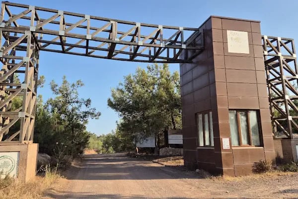 Ayvalık Adaları Tabiat Parkı - Resim 6