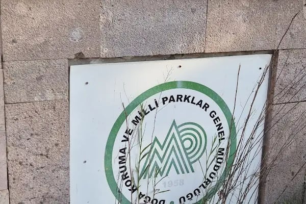 Ayvalık Adaları Tabiat Parkı - Resim 7