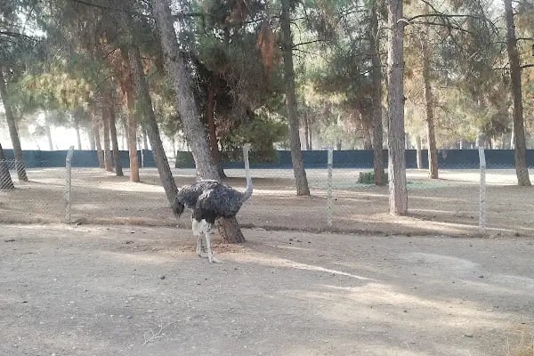 Tarım İşletmesi Müdürlüğü - Resim 11