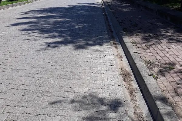 Tarım İşletmesi Müdürlüğü - Resim 18