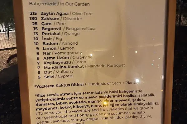 Dali Food &amp; Cafe - Resim 19