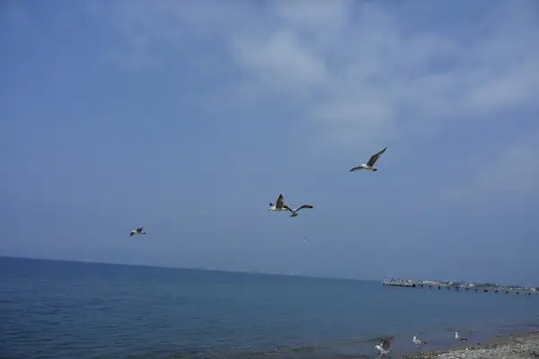 Yeşim Tatil Sitesi - Resim 9