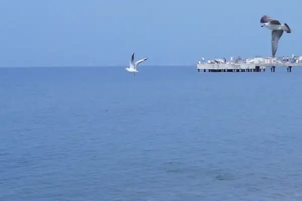 Yeşim Tatil Sitesi - Resim 11