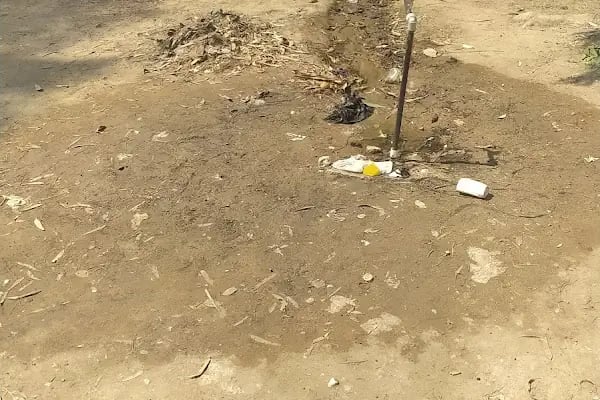 Zeytinbeli Belediye Kamp Alanı - Resim 12