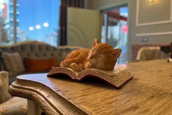 PsychoChef Çocuk ve Genç Psikiyatri Merkezi - Resim 4