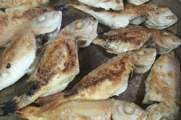 Derya Izgara Ve Kır Salonu - Resim 19