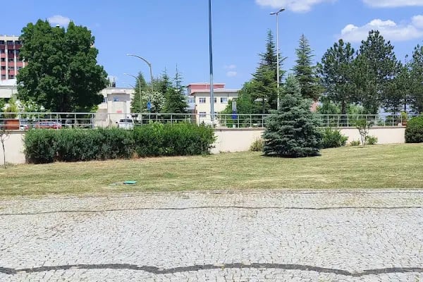 Trakya Üniversitesi Tıp Fakültesi Hst. - Resim 10