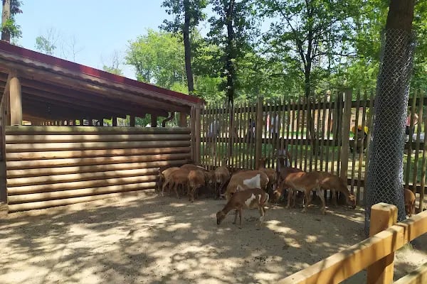 Ormanya Karavan kamp - Resim 14