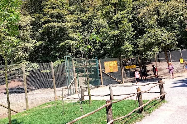 Ormanya Karavan kamp - Resim 17