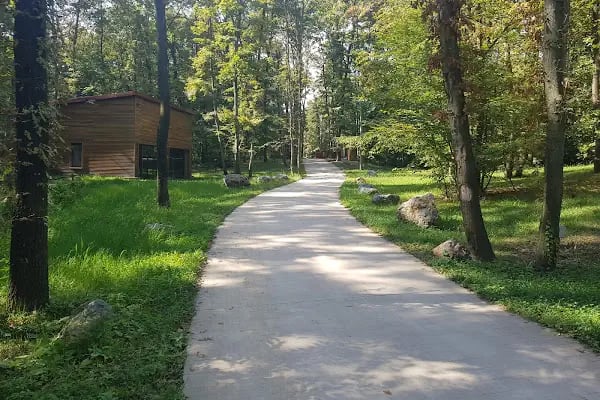 Ormanya Karavan kamp - Resim 15