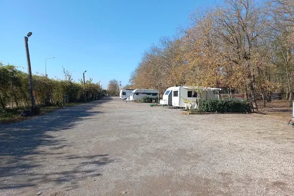 Ormanya Karavan kamp - Resim 12