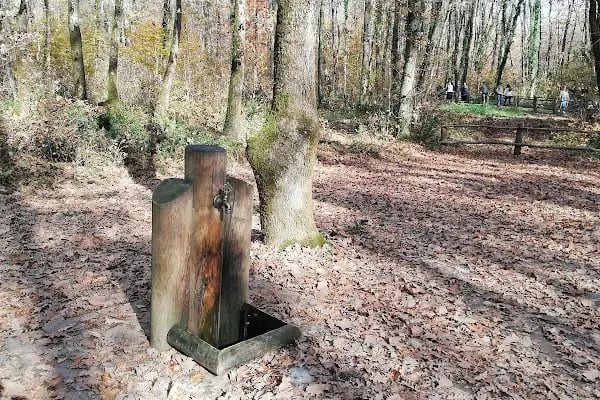 Ormanya Karavan kamp - Resim 16