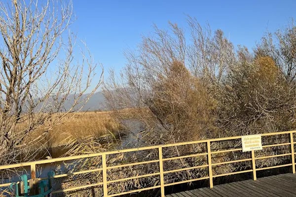 Aşağı Dip Gölü Doğa Parkı - Lac à Aydın - Resim 11