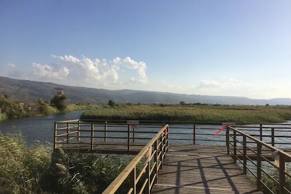 Aşağı Dip Gölü Doğa Parkı - Lac à Aydın - Resim 4