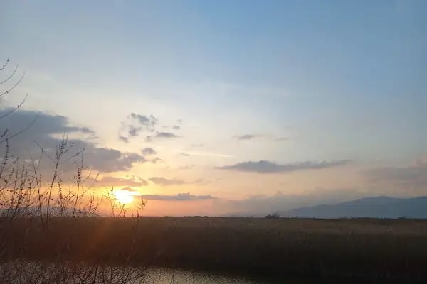 Aşağı Dip Gölü Doğa Parkı - Lac à Aydın - Resim 19