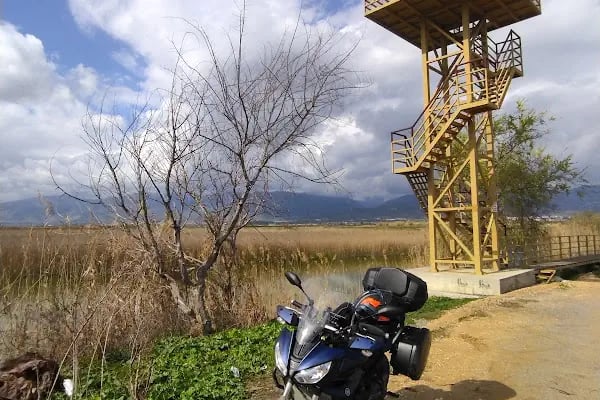 Aşağı Dip Gölü Doğa Parkı - Lac à Aydın - Resim 16