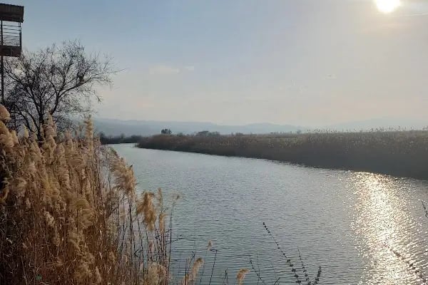 Aşağı Dip Gölü Doğa Parkı - Lac à Aydın - Resim 12